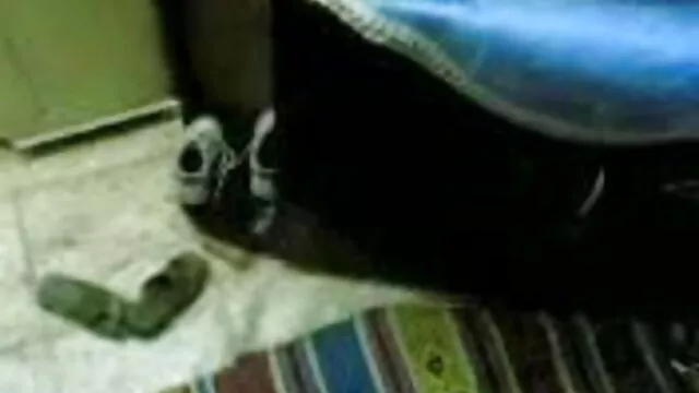 पतला और उसके मालिक ब्लू सेक्सी हिंदी मूवी चूसना एक दूसरे के कार्यालय में