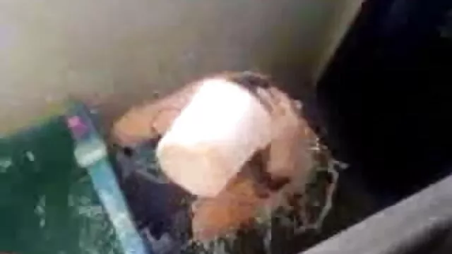 शौकिया आबनूस सेक्सी मूवी हिंदी में सेक्सी युगल इसे पाने पर-घर का बना