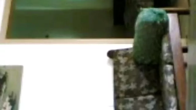 कमबख्त समलैंगिक सेक्सी मूवी हिंदी में सेक्सी घर में