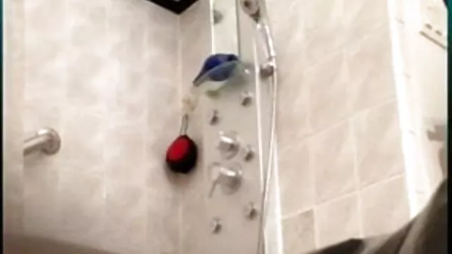 वेब कैमरा पर भारी स्तन के साथ श्यामला बीपी सेक्सी हिंदी मूवी किशोरों