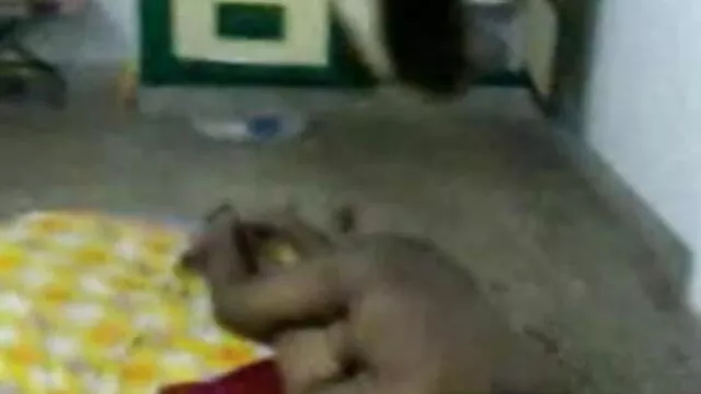 सुनहरे बालों वाली हिंदी में सेक्सी मूवी हिंदी श्यामला बालों वाली कट्टर मोज़ा