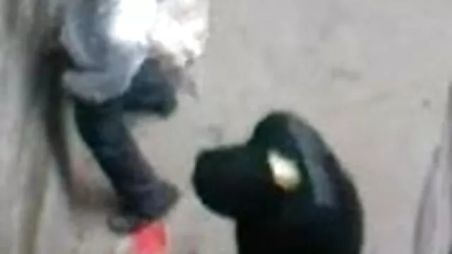 बीबीडब्ल्यू हो रही से पहले एक मुर्गा सेक्सी नई हिंदी मूवी के साथ खेल