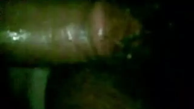 आभासी वास्तविकता देसी सेक्सी हिंदी मूवी में एक बिल्ली चाट और सिबिल