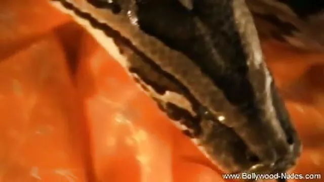 चेक किशोर फोटोग्राफर के लिए नि: हिंदी पिक्चर फिल्म सेक्सी मूवी शुल्क शरारती तस्वीरें