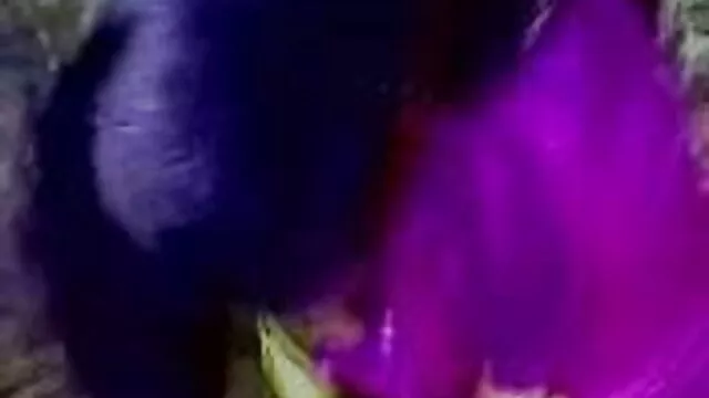 पास्कलसस्लट्स-व्यभिचारी पति संवर्धन सेक्सी हिंदी पिक्चर मूवी के साथ पुरुष वर्चस्व मुर्गा