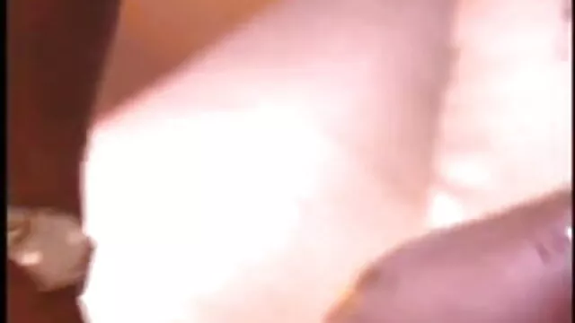 बिल्ली लड़ता है