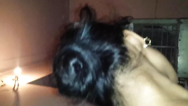 सेक्सी हिंदी सेक्सी वीडियो मूवी परिपक्व युवा चेक महिला समलैंगिकों सह पर एक ही समय में थरथानेवाला