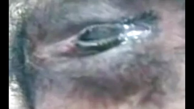 गलफुल्ला फुल सेक्सी हिंदी मूवी शौकिया बीबीडब्ल्यू उसके पति