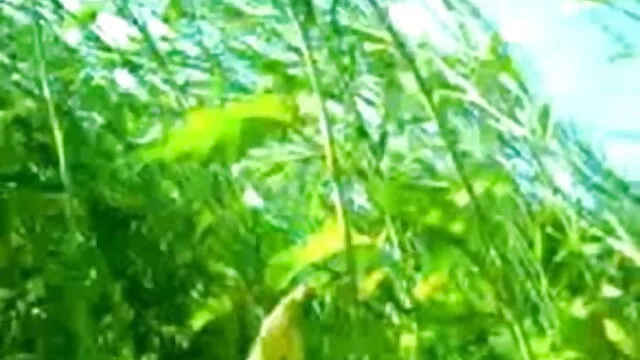 हॉट लैटिना और एक विशाल के साथ हिंदी सेक्सी मूवी हिंदी सेक्सी फिल्म गड़बड़