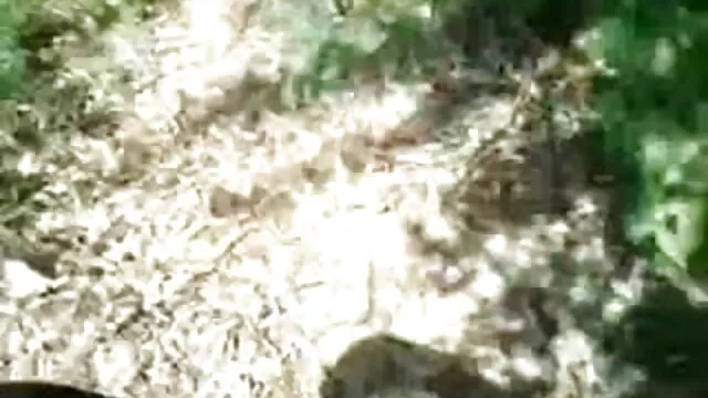 बेब नर्तकी हिंदी मूवी वीडियो सेक्सी है तो विदेशी