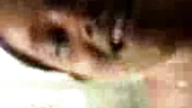 लेट्सडॉइट-बुम्सबस लोग उठाया और कुल अजनबी गड़बड़ कर दिया हिंदी मूवी ब्लू फिल्में