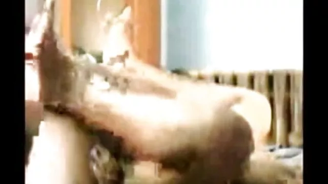 रिवर्स मुख-मैथुन मेरे कदम भाई हिंदी में सेक्सी मूवी हिंदी खा मेरी चूत-69