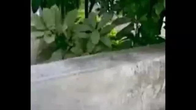 अद्भुत त्रिशंकु मुर्गा सेक्सी मूवी हिंदी हद